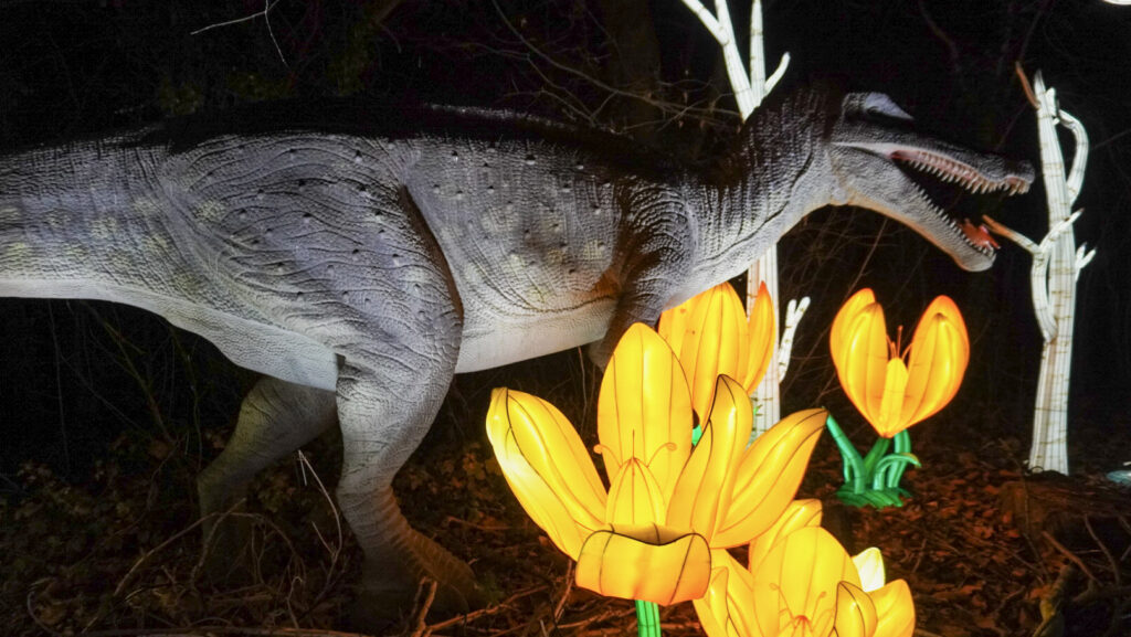 China Lights im K&ouml;lner Zoo