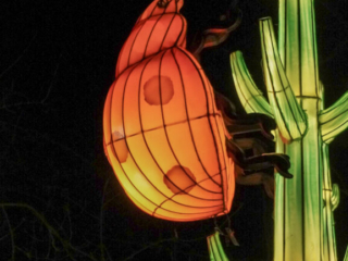 China Lights im K&ouml;lner Zoo