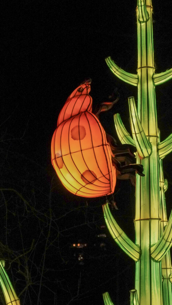 China Lights im K&ouml;lner Zoo