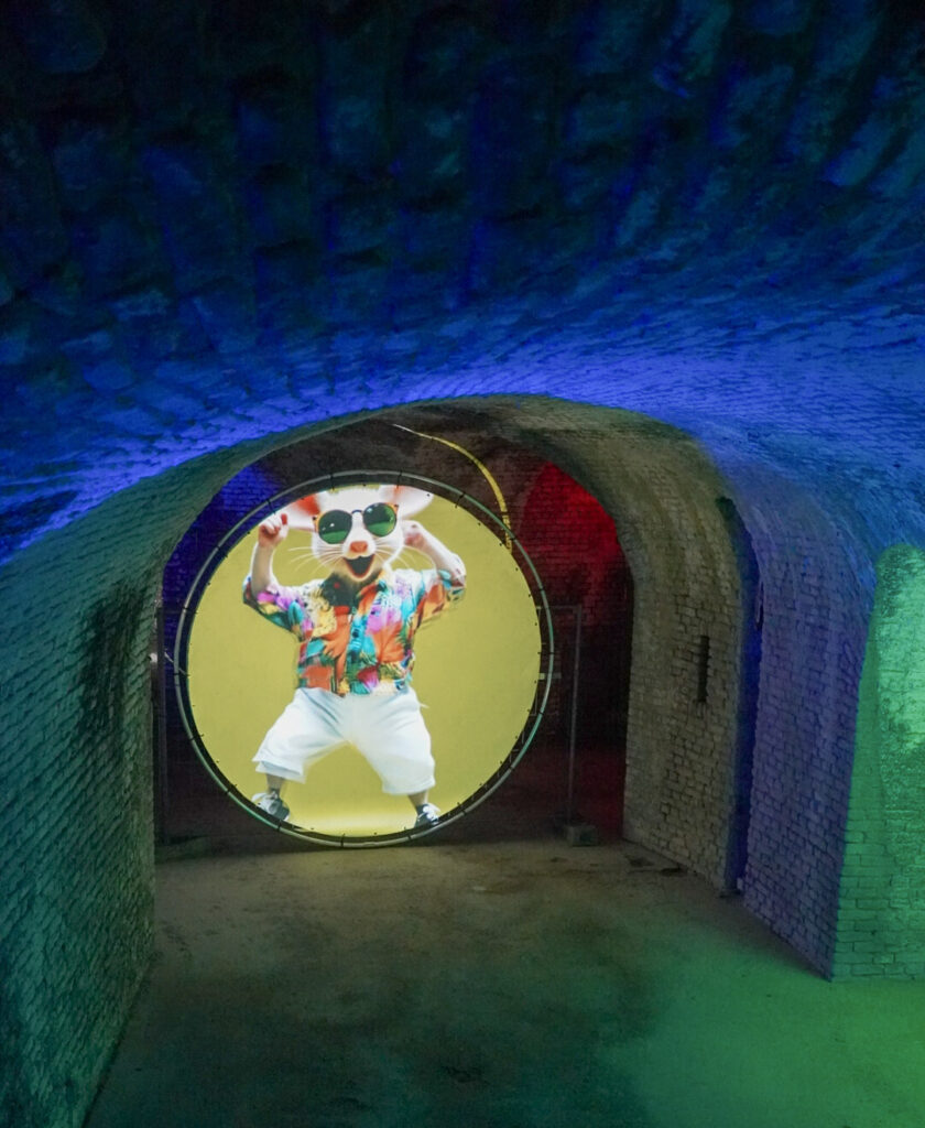 Herbstlichter Br&uuml;ckenkopfpark J&uuml;lich