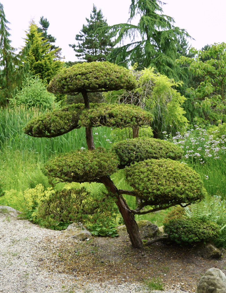 El Mundo Fantasia - Mondo Verde