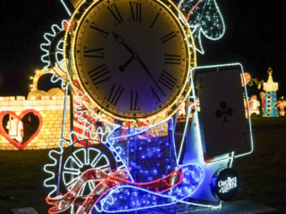 Garden of Lights Garden of Lights