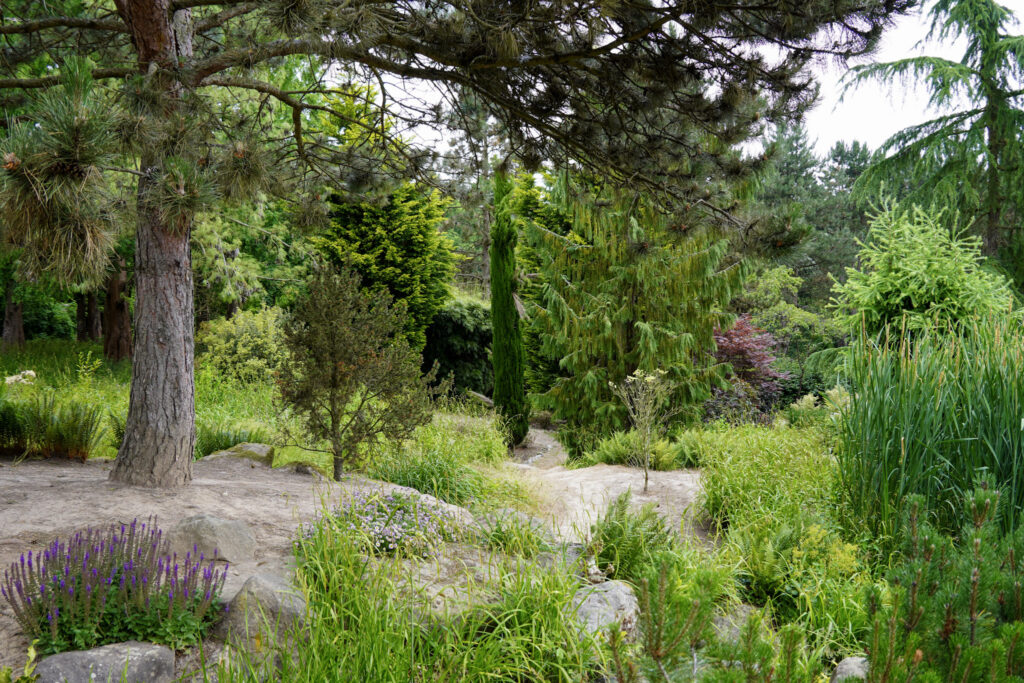 El Mundo Fantasia - Mondo Verde