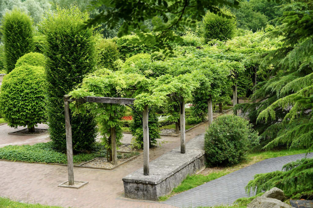 El Mundo Fantasia - Mondo Verde