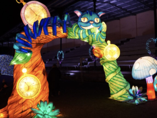 Garden of Lights Garden of Lights