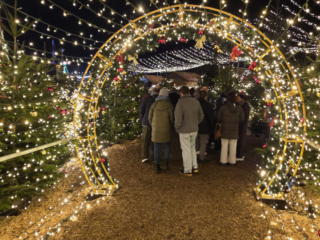 Cranger Weihnachtszauber