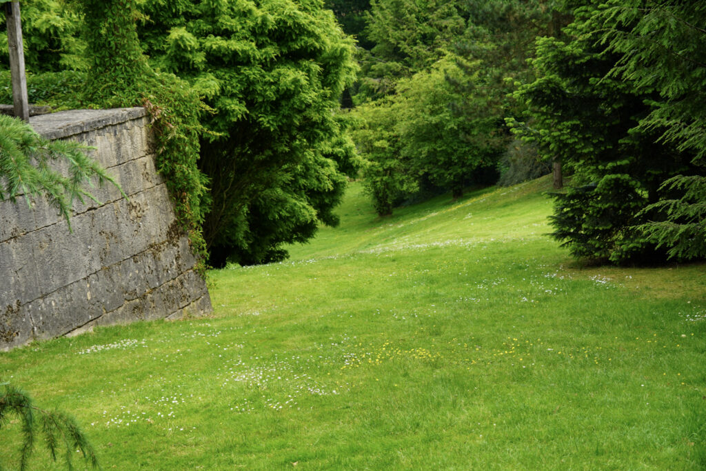 El Mundo Fantasia - Mondo Verde