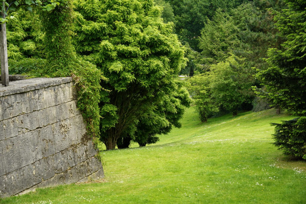 El Mundo Fantasia - Mondo Verde