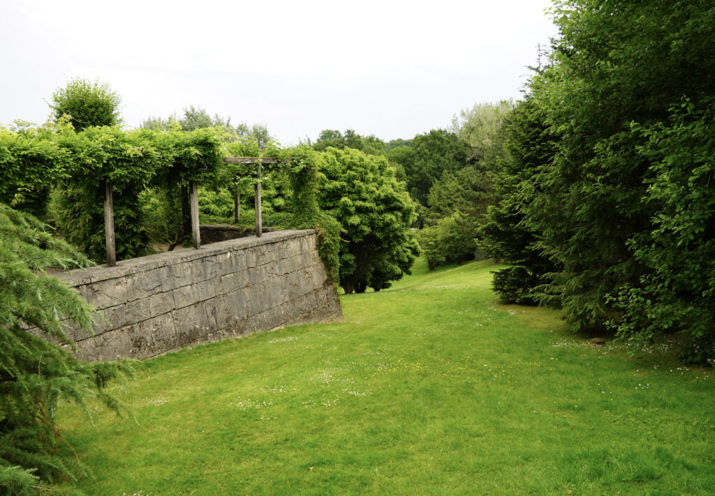 El Mundo Fantasia - Mondo Verde