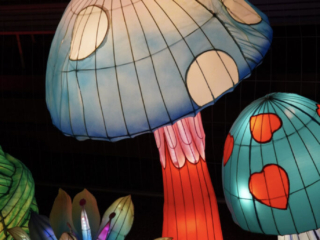 Garden of Lights Garden of Lights