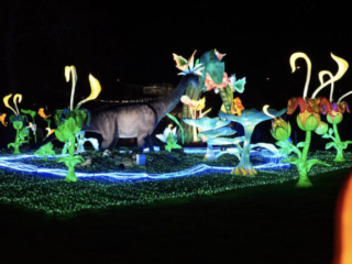 China Lights im K&ouml;lner Zoo