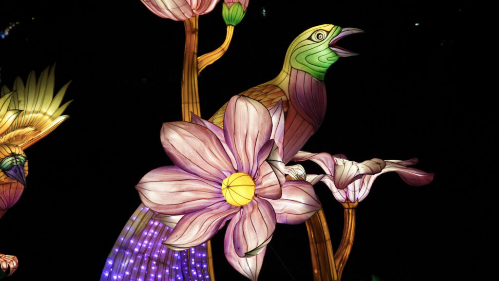 China Lights im K&ouml;lner Zoo