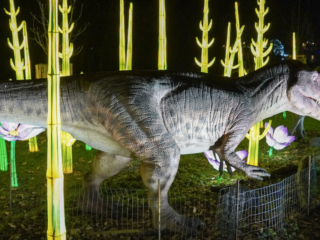 China Lights im K&ouml;lner Zoo