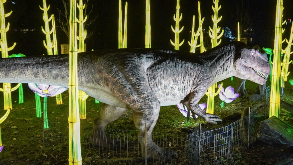 China Lights im K&ouml;lner Zoo