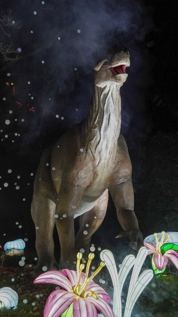 China Lights im K&ouml;lner Zoo