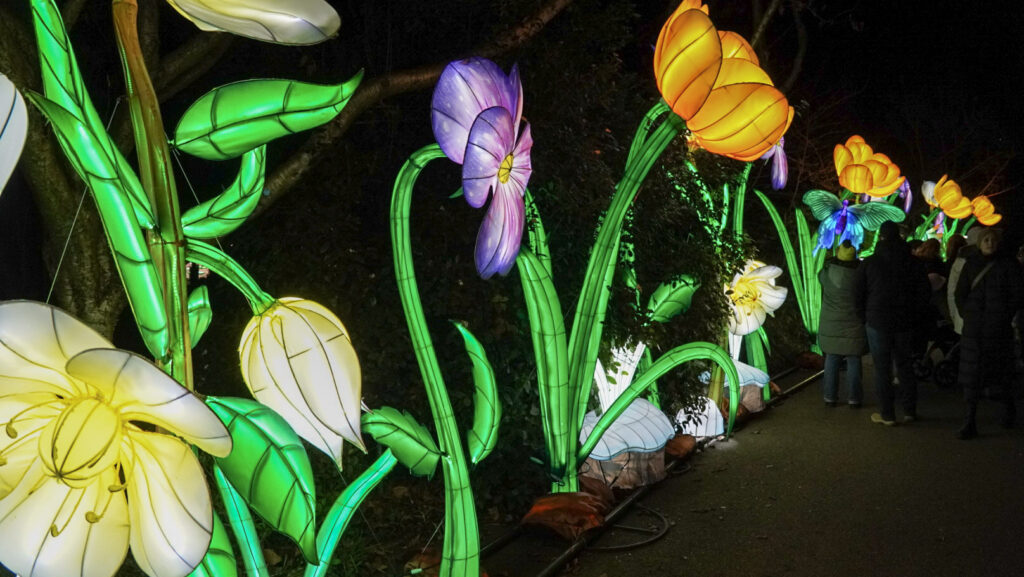 China Lights im K&ouml;lner Zoo