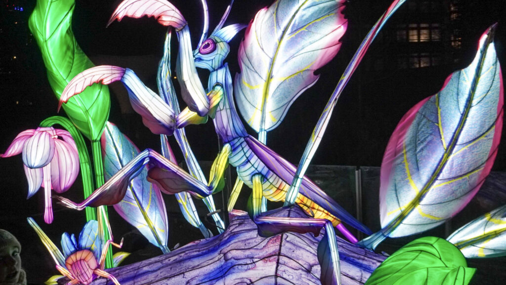 China Lights im K&ouml;lner Zoo