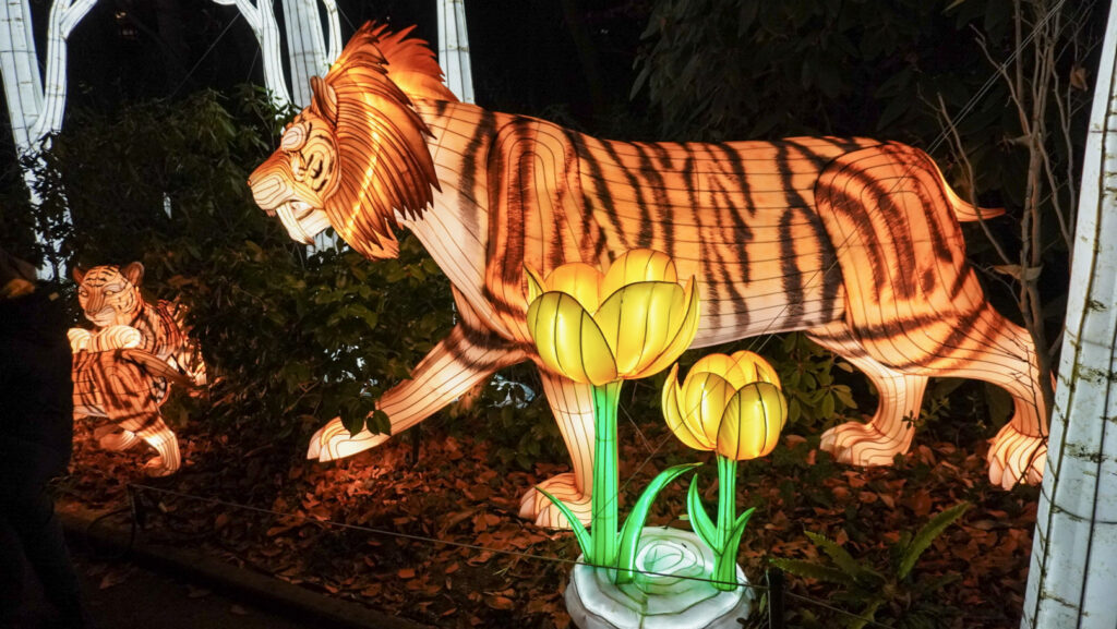 China Lights im K&ouml;lner Zoo