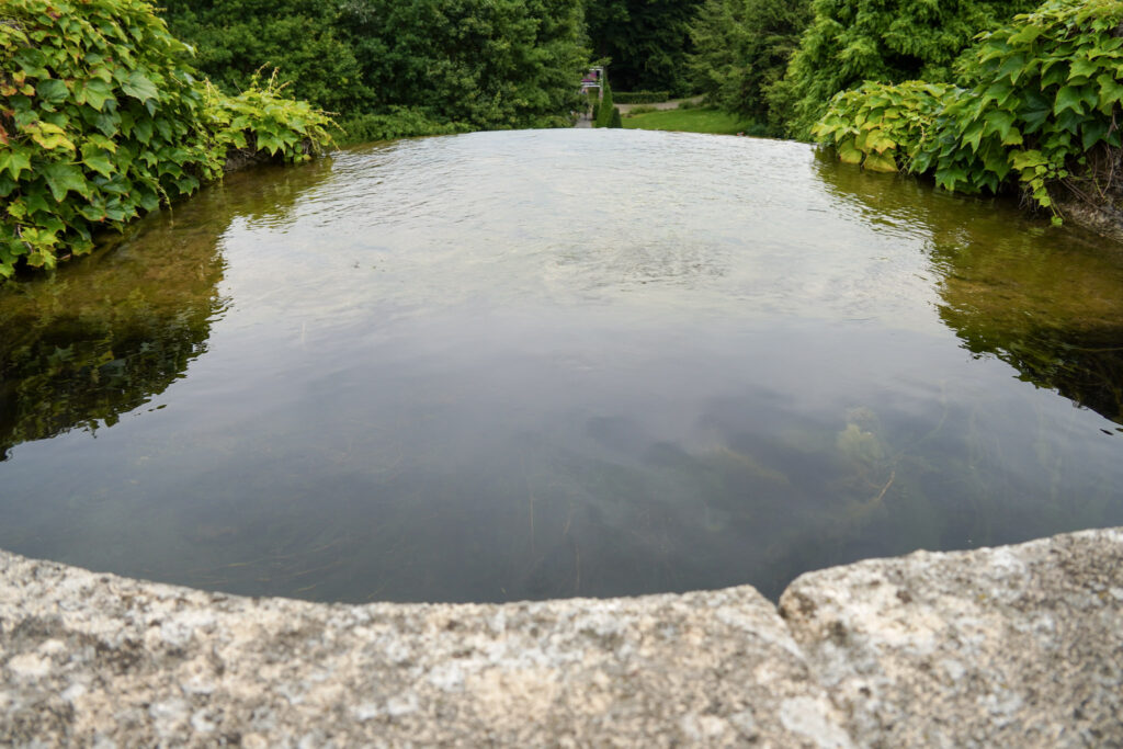 El Mundo Fantasia - Mondo Verde