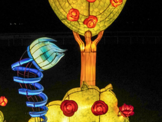 Garden of Lights Garden of Lights