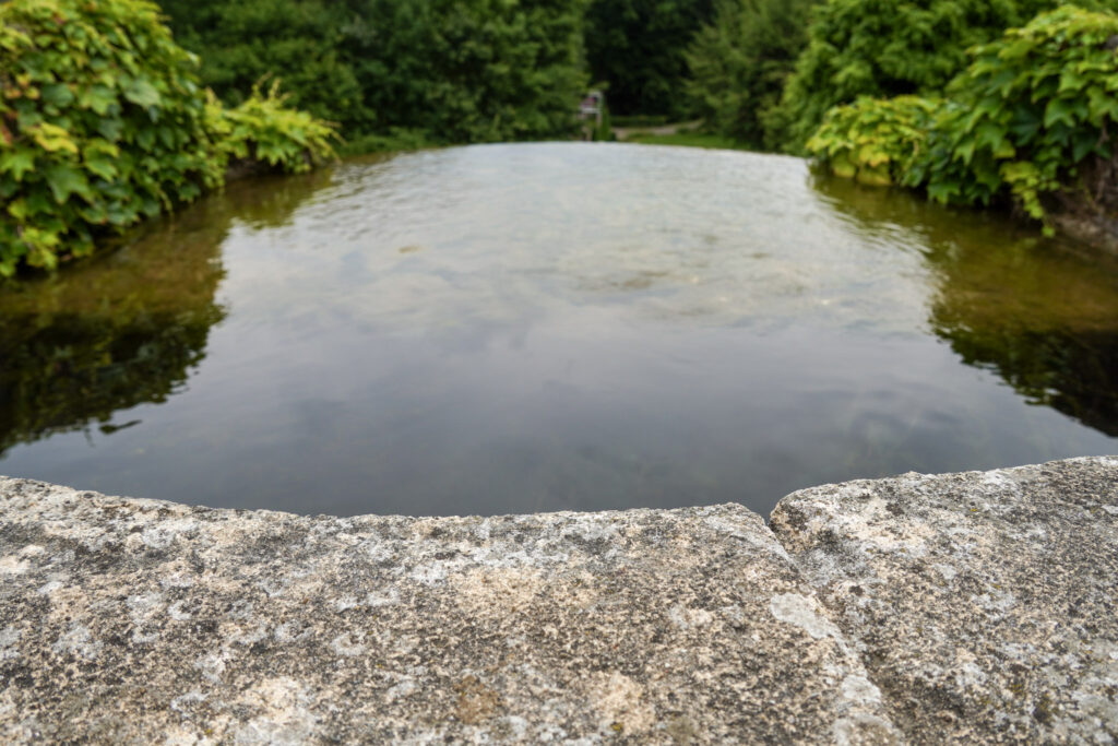 El Mundo Fantasia - Mondo Verde
