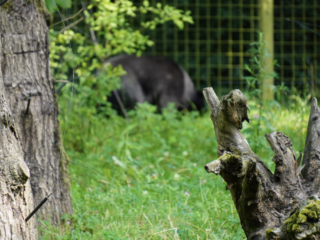 Burgers' Zoo