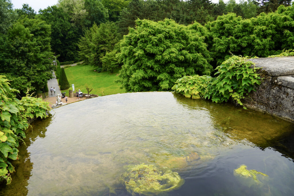 El Mundo Fantasia - Mondo Verde