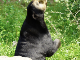 Burgers' Zoo