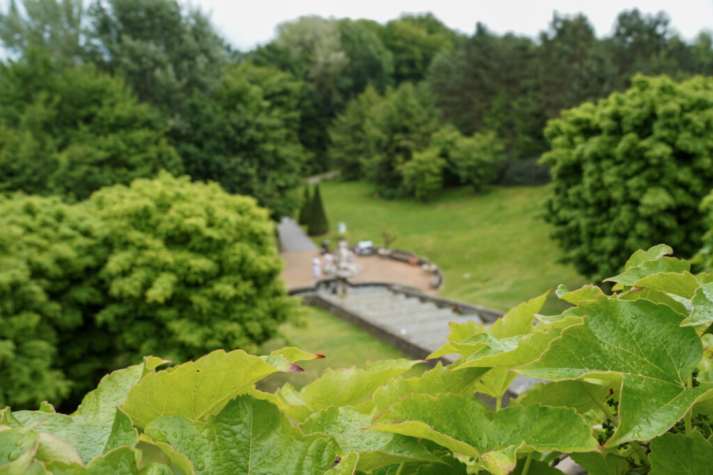 El Mundo Fantasia - Mondo Verde