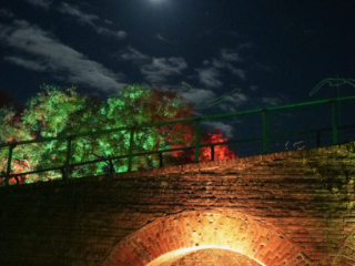 Herbstlichter Brückenkopfpark Jülich Herbstlichter Brückenkopfpark Jülich