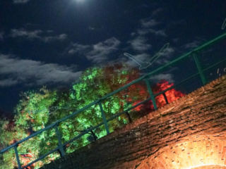 Herbstlichter Brückenkopfpark Jülich Herbstlichter Brückenkopfpark Jülich