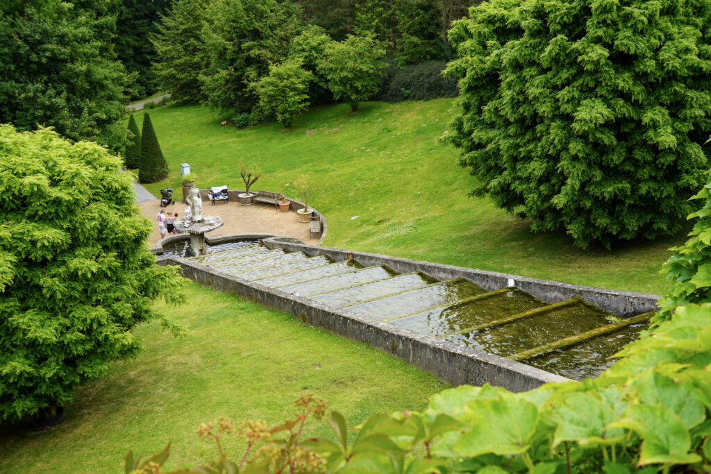 El Mundo Fantasia - Mondo Verde