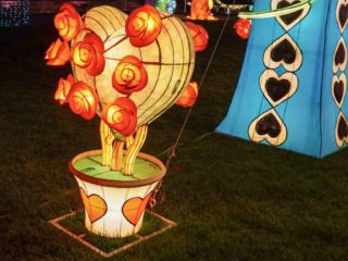 Garden of Lights Garden of Lights