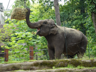 Burgers' Zoo