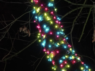 Garden of Lights Garden of Lights