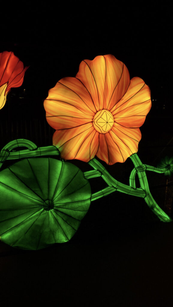 China Lights im K&ouml;lner Zoo