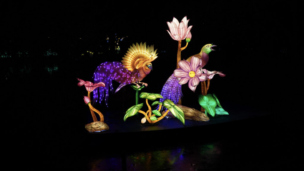 China Lights im K&ouml;lner Zoo