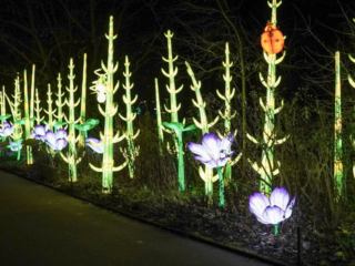 China Lights im K&ouml;lner Zoo