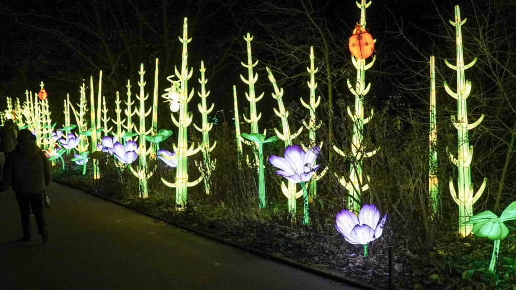 China Lights im K&ouml;lner Zoo