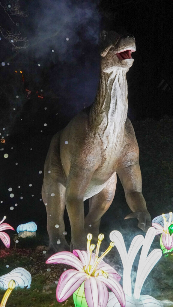 China Lights im K&ouml;lner Zoo