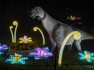 China Lights im K&ouml;lner Zoo