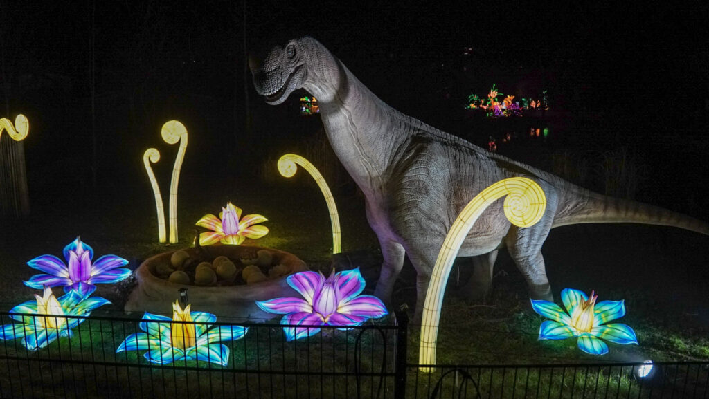 China Lights im K&ouml;lner Zoo