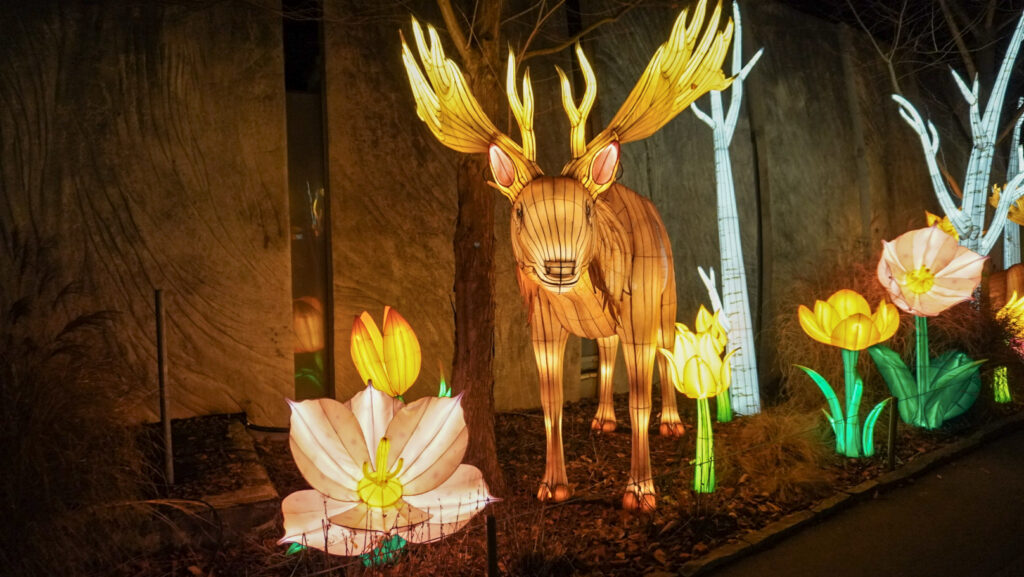 China Lights im K&ouml;lner Zoo
