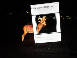 China Lights im K&ouml;lner Zoo
