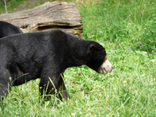 Burgers' Zoo