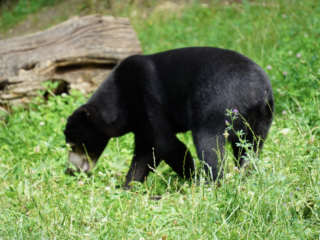 Burgers' Zoo