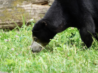 Burgers' Zoo