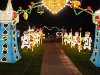 Garden of Lights Garden of Lights