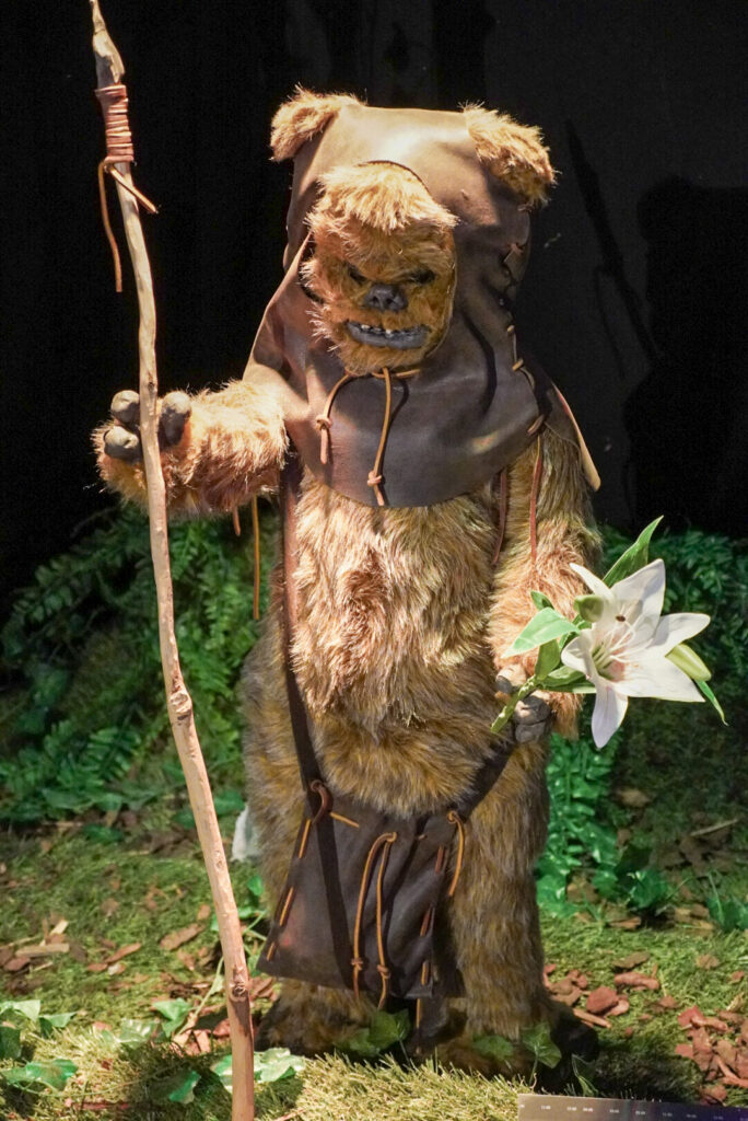 The Fans Strike Back Frankfurt