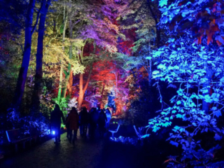 Herbstlichter Brückenkopfpark Jülich Herbstlichter Brückenkopfpark Jülich